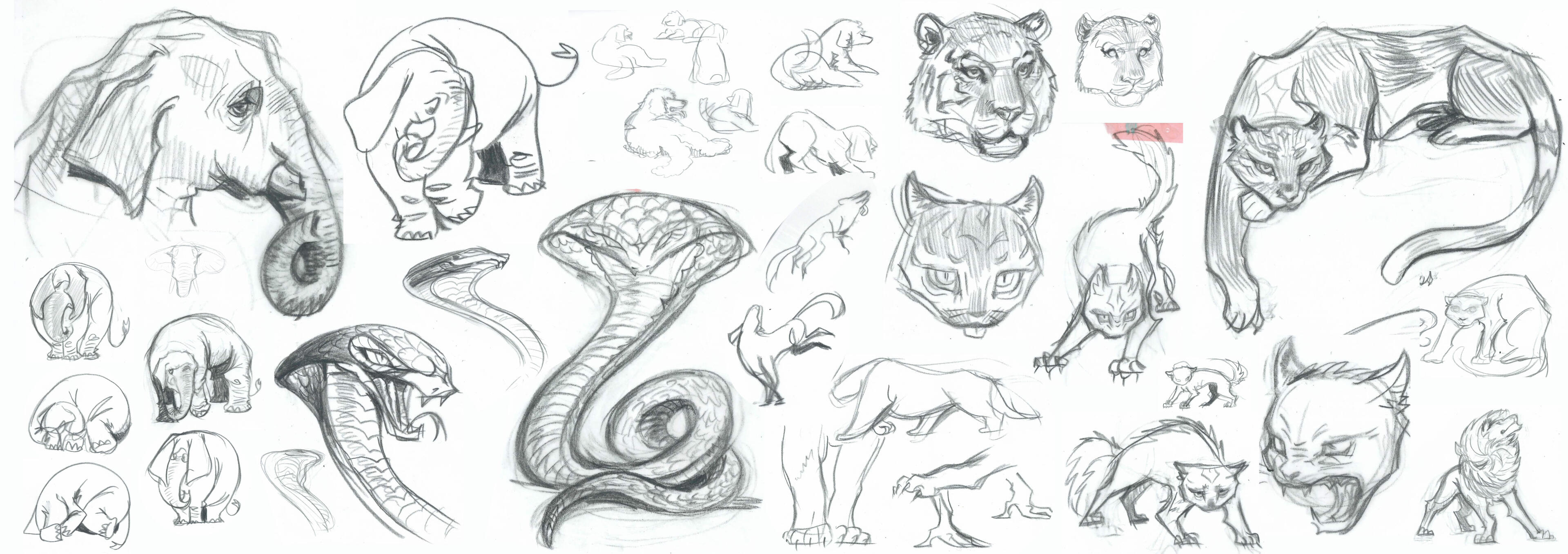 animal exploration